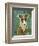 Italian Greyhound (White & Grey)-John W^ Golden-Framed Art Print