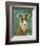 Italian Greyhound (White & Grey)-John W^ Golden-Framed Art Print