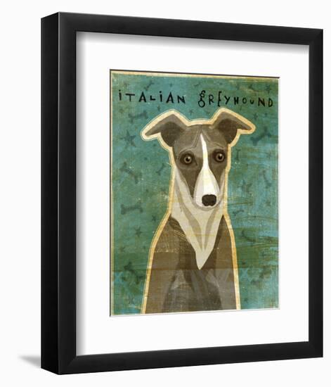 Italian Greyhound (White & Grey)-John W^ Golden-Framed Art Print