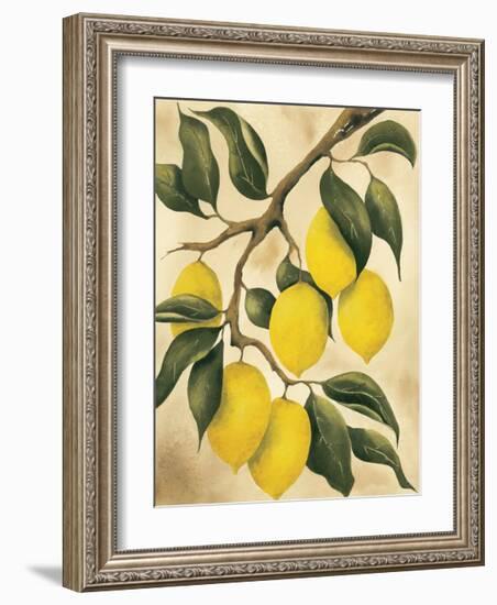 Italian Harvest, Lemons-Doris Allison-Framed Giclee Print