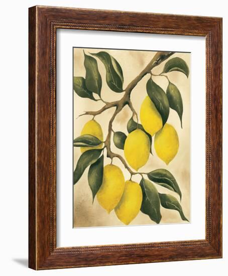 Italian Harvest, Lemons-Doris Allison-Framed Giclee Print