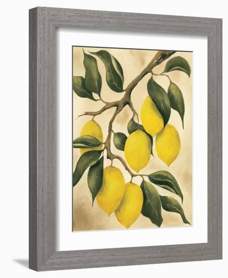 Italian Harvest, Lemons-Doris Allison-Framed Giclee Print