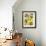 Italian Harvest, Lemons-Doris Allison-Framed Giclee Print displayed on a wall
