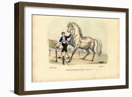 Italian Horse, 1863-79-Raimundo Petraroja-Framed Giclee Print