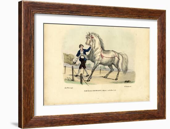 Italian Horse, 1863-79-Raimundo Petraroja-Framed Giclee Print