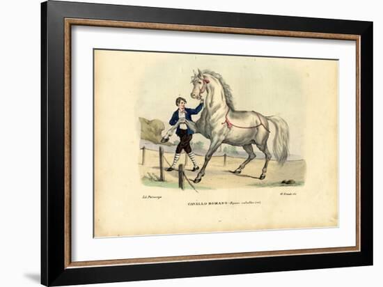 Italian Horse, 1863-79-Raimundo Petraroja-Framed Giclee Print