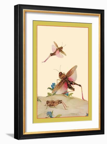 Italian Locusts-Edward Detmold-Framed Art Print