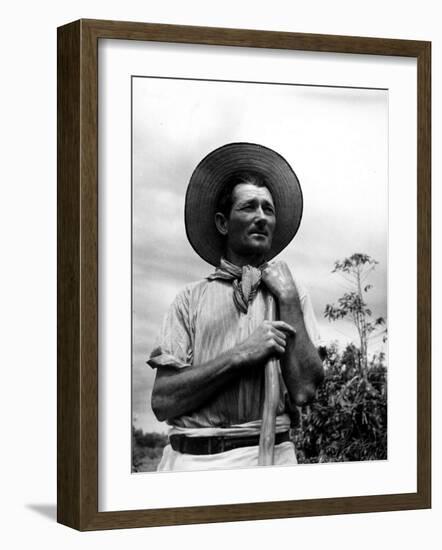 Italian Man Working in the Field, Cleaning the Coffee Trees-John Phillips-Framed Photographic Print