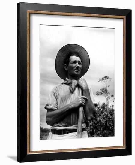 Italian Man Working in the Field, Cleaning the Coffee Trees-John Phillips-Framed Photographic Print