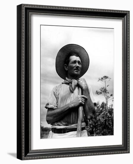 Italian Man Working in the Field, Cleaning the Coffee Trees-John Phillips-Framed Photographic Print