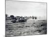 Italian Officers Training Native Troops to Use Artillery, Italian Colonialism in East Africa-null-Mounted Giclee Print