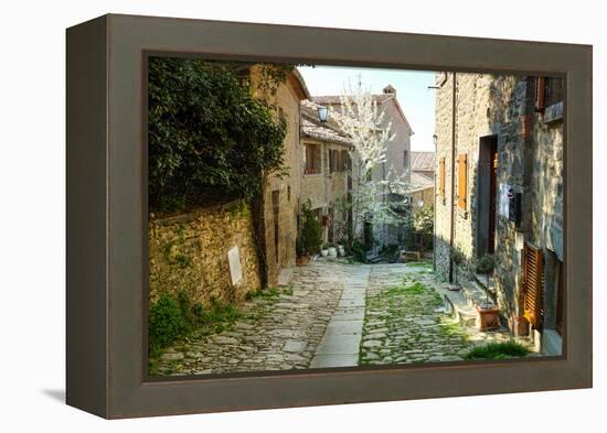 Italian Old Street . Tuscany-ZoomTeam-Framed Premier Image Canvas