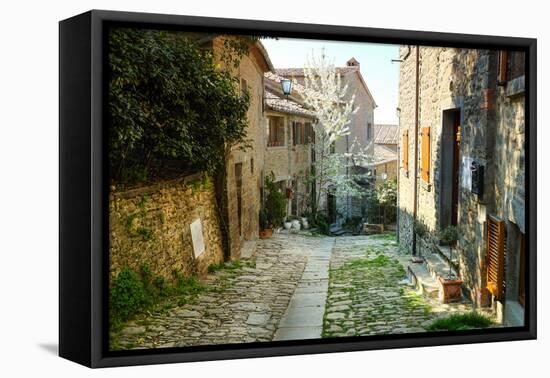 Italian Old Street . Tuscany-ZoomTeam-Framed Premier Image Canvas