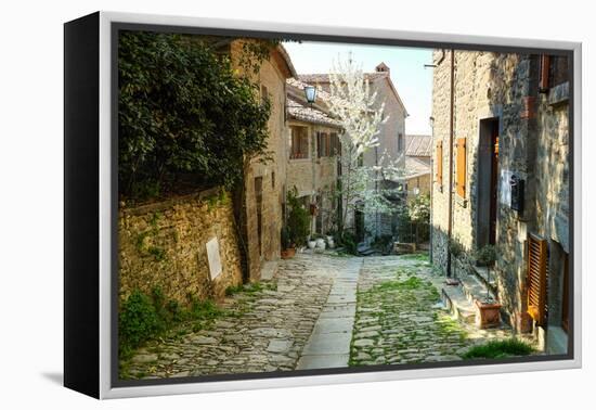 Italian Old Street . Tuscany-ZoomTeam-Framed Premier Image Canvas