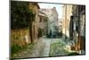 Italian Old Street . Tuscany-ZoomTeam-Mounted Photographic Print