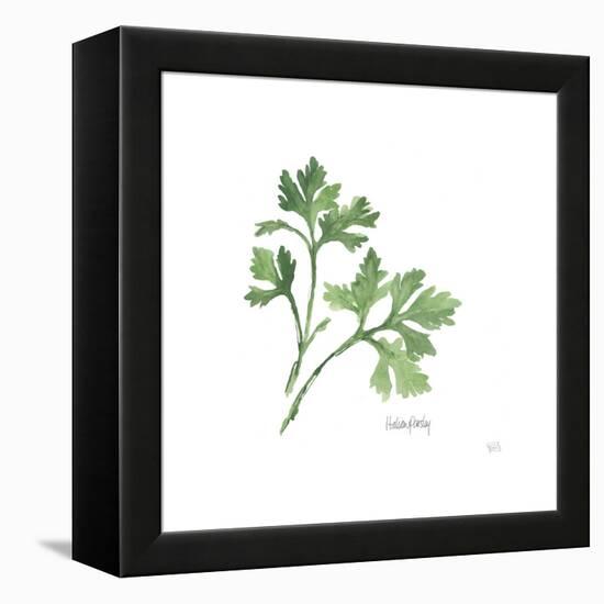 Italian Parsley V2-Chris Paschke-Framed Stretched Canvas