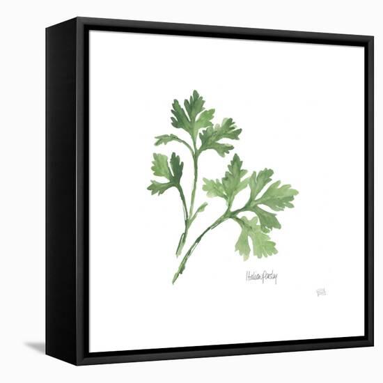 Italian Parsley V2-Chris Paschke-Framed Stretched Canvas