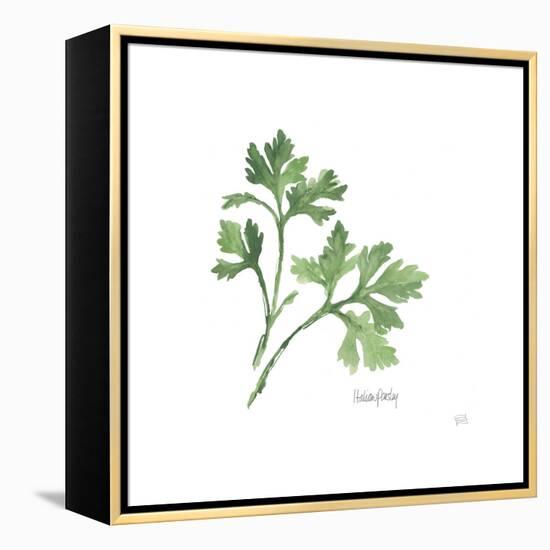 Italian Parsley V2-Chris Paschke-Framed Stretched Canvas