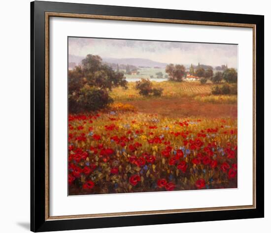 Italian Poppy Vista I-Ahn Seung Koo-Framed Art Print