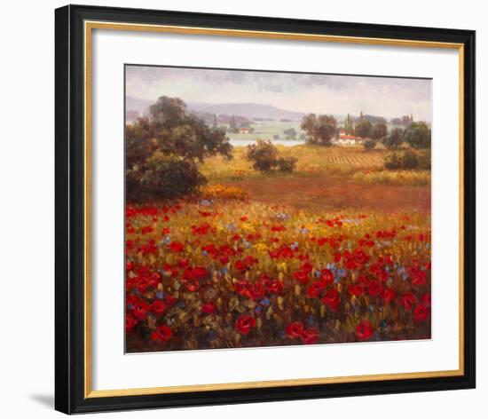 Italian Poppy Vista I-Ahn Seung Koo-Framed Art Print