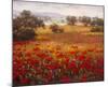 Italian Poppy Vista I-Ahn Seung Koo-Mounted Art Print