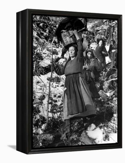 Italian Refugee Women Carrying Their Belongings in Baskets, While Fleeing Their Homes in WWII-Robert Capa-Framed Premier Image Canvas