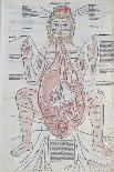 The Anatomy of the Pregnant Woman, Illustration from 'Fasciculus Medicinae' by Johannes De Ketham-Italian School-Giclee Print
