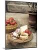 Italian Snack: Cheese, Hard Cured Sausage, Olives and Tomatoes-Eising Studio - Food Photo and Video-Mounted Photographic Print