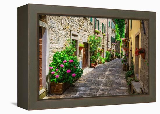 Italian Street in A Small Provincial Town of Tuscan-Alan64-Framed Premier Image Canvas