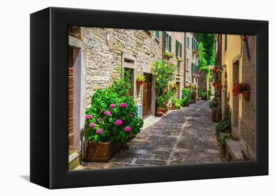 Italian Street in A Small Provincial Town of Tuscan-Alan64-Framed Premier Image Canvas