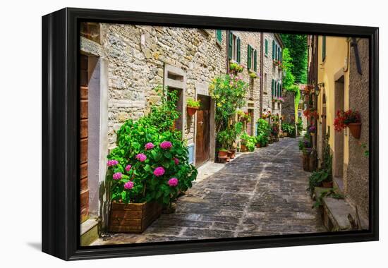 Italian Street in A Small Provincial Town of Tuscan-Alan64-Framed Premier Image Canvas