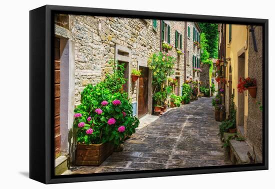 Italian Street in A Small Provincial Town of Tuscan-Alan64-Framed Premier Image Canvas