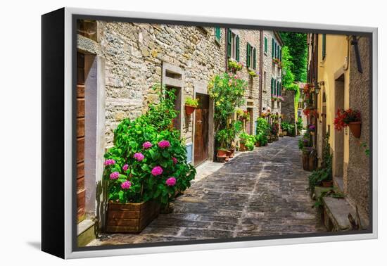 Italian Street in A Small Provincial Town of Tuscan-Alan64-Framed Premier Image Canvas