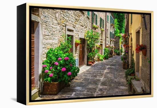 Italian Street in A Small Provincial Town of Tuscan-Alan64-Framed Premier Image Canvas