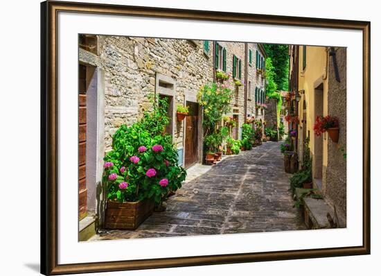 Italian Street in A Small Provincial Town of Tuscan-Alan64-Framed Photographic Print