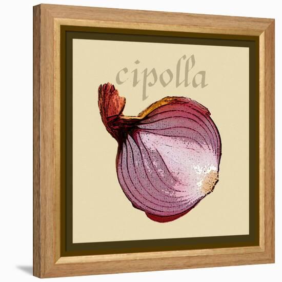 Italian Vegetable VI-Vision Studio-Framed Stretched Canvas