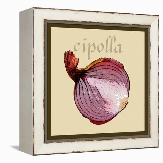 Italian Vegetable VI-Vision Studio-Framed Stretched Canvas