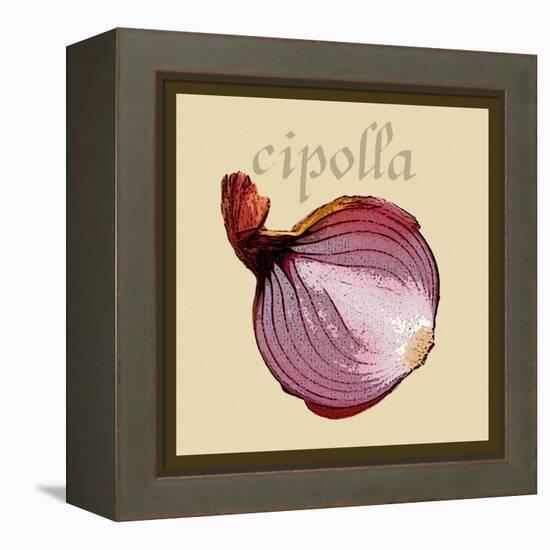 Italian Vegetable VI-Vision Studio-Framed Stretched Canvas