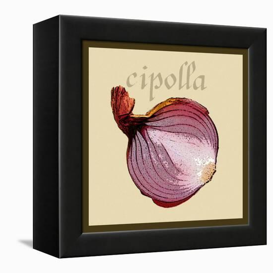 Italian Vegetable VI-Vision Studio-Framed Stretched Canvas