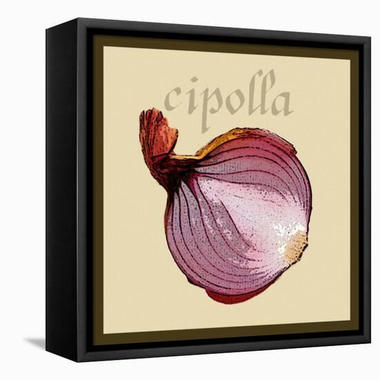 Italian Vegetable VI-Vision Studio-Framed Stretched Canvas