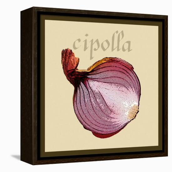 Italian Vegetable VI-Vision Studio-Framed Stretched Canvas