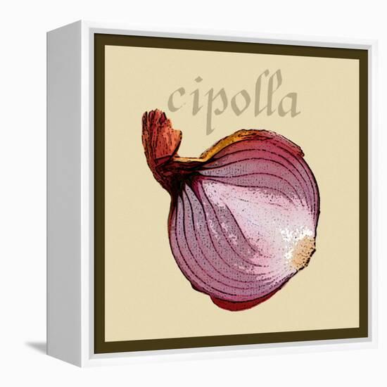 Italian Vegetable VI-Vision Studio-Framed Stretched Canvas