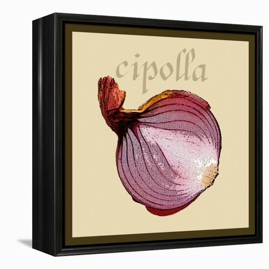 Italian Vegetable VI-Vision Studio-Framed Stretched Canvas