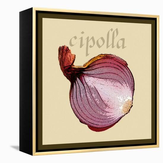 Italian Vegetable VI-Vision Studio-Framed Stretched Canvas