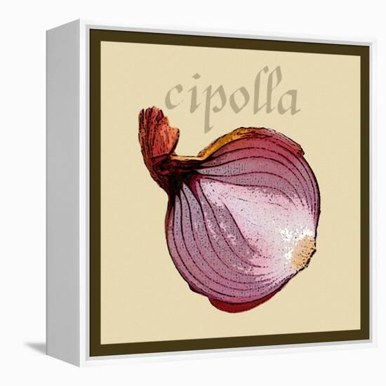 Italian Vegetable VI-Vision Studio-Framed Stretched Canvas