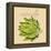 Italian Vegetable VIII-Vision Studio-Framed Stretched Canvas