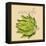 Italian Vegetable VIII-Vision Studio-Framed Stretched Canvas