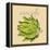 Italian Vegetable VIII-Vision Studio-Framed Stretched Canvas