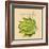 Italian Vegetable VIII-Vision Studio-Framed Premium Giclee Print