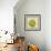 Italian Vegetable VIII-Vision Studio-Framed Premium Giclee Print displayed on a wall